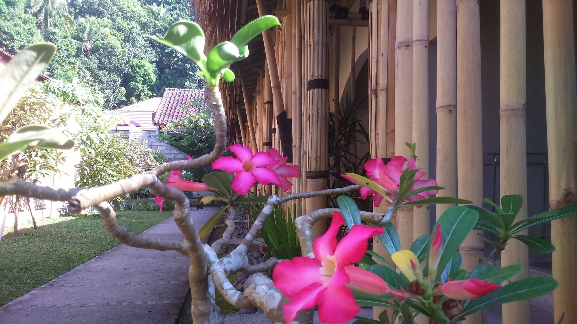 Senggigi Cottages Lombok Ngoại thất bức ảnh